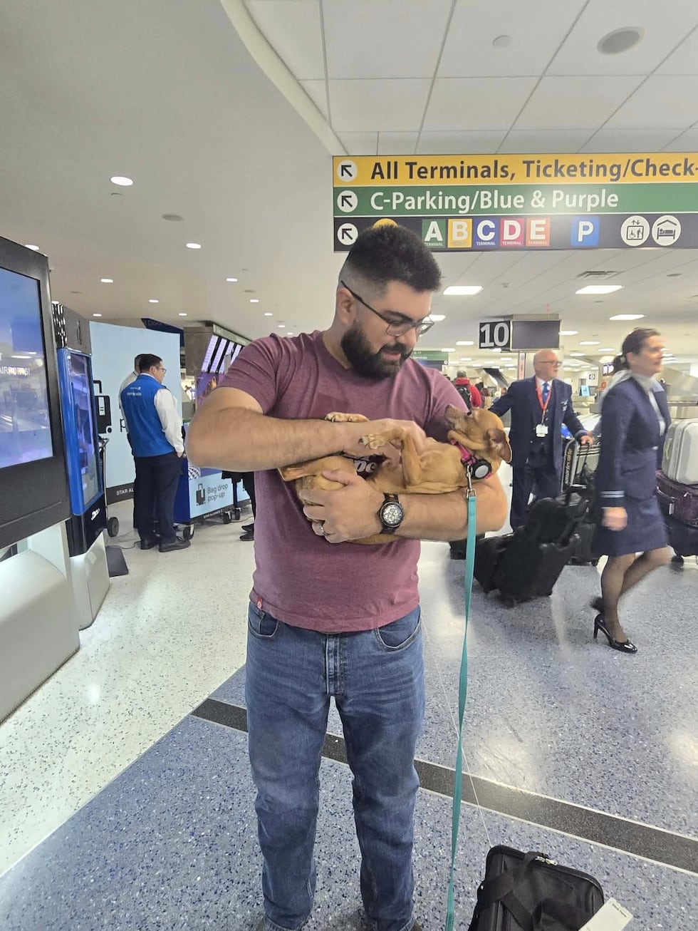 Dog missing for 5 years found in Rockford, reunited with family in Texas