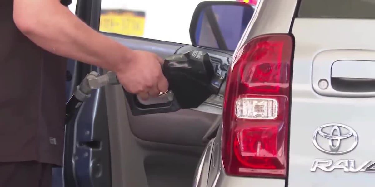 2026 predicted to be cheapest for gas in years