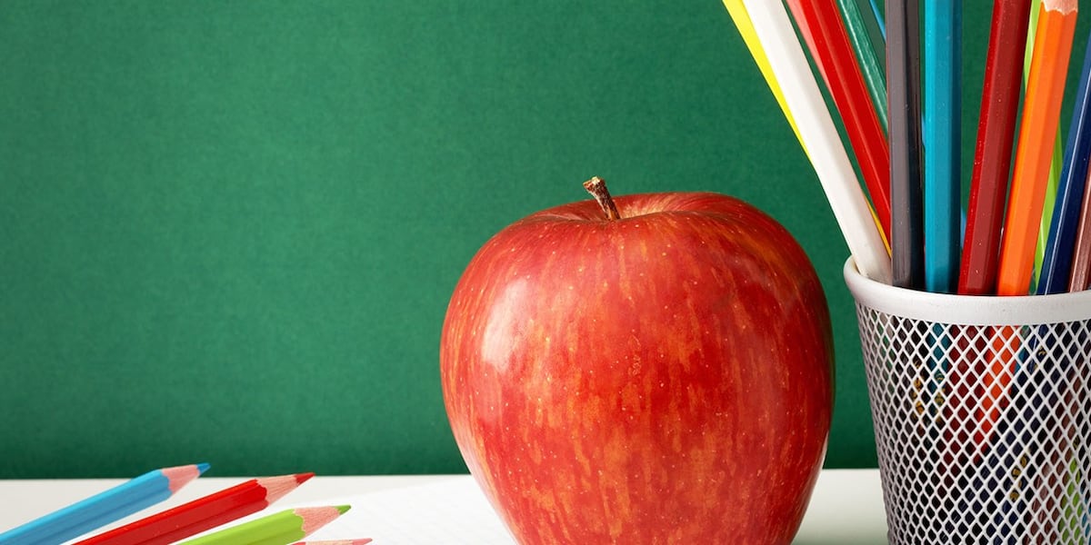 Area schools make Texas Honor Roll list