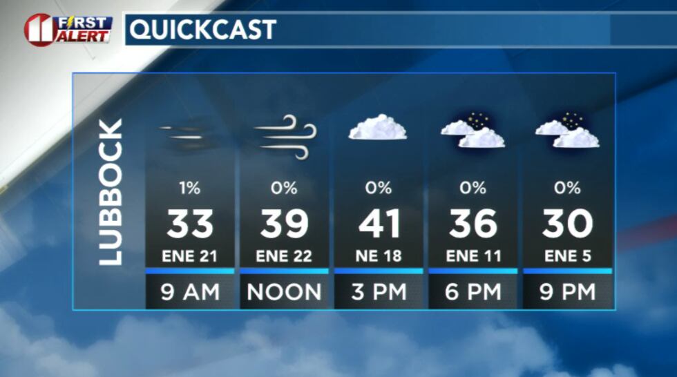 Hourly Forecast