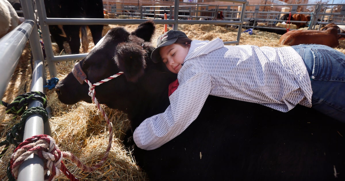 Fun things to do in Dallas-Fort Worth for the week of Jan. 23-29