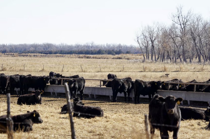 Westlake’s Goosehead Insurance founders buy Nebraska Sandhills ranch for record $56M