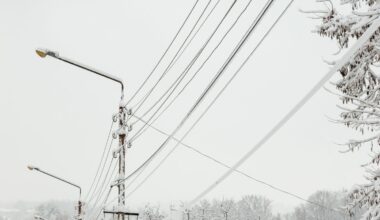 Frozen power lines with ice
