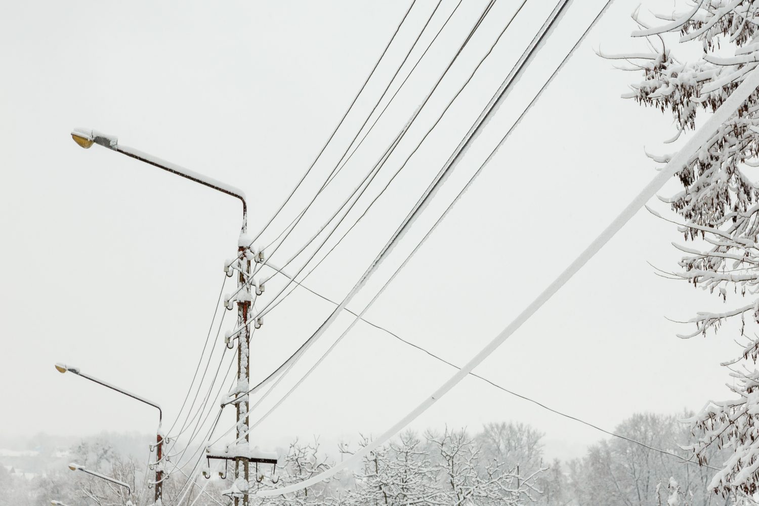 Frozen power lines with ice