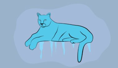 How to prepare for the upcoming freeze