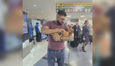 Dog missing for 5 years found in Rockford, reunited with family in Texas