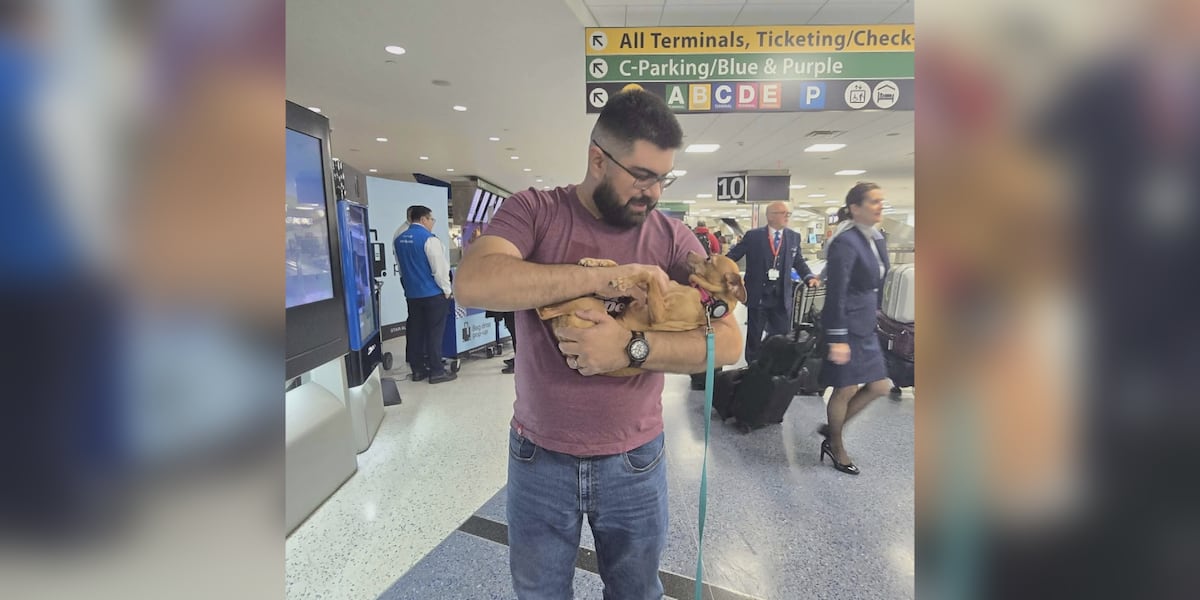 Dog missing for 5 years found in Rockford, reunited with family in Texas