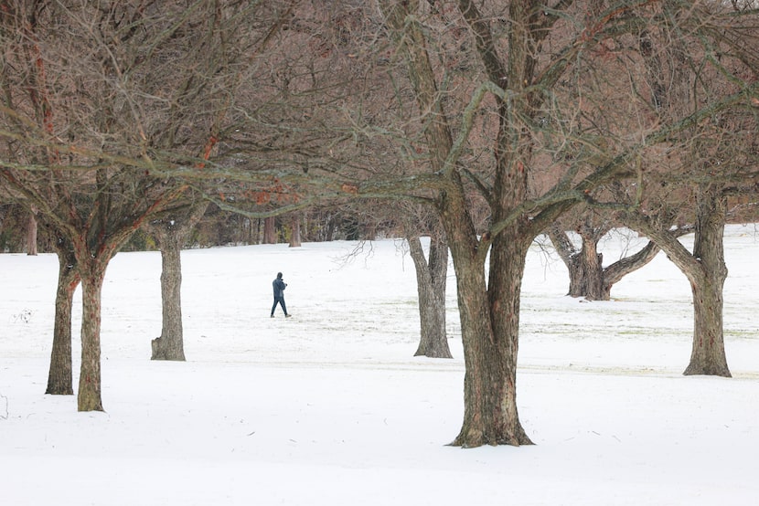 A person walks over the snow, on Sunday, Jan. 25, 2026, at White Rock Lake in Dallas....