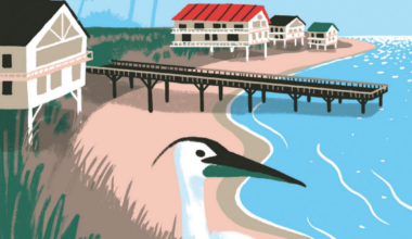 Regional 2026 Forecast | South Texas