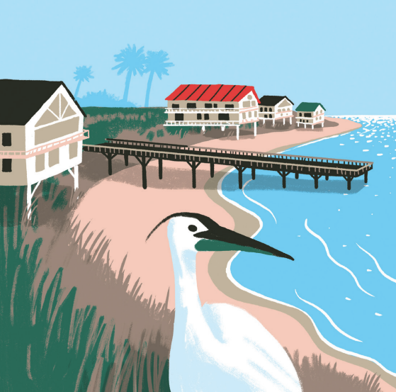 Regional 2026 Forecast | South Texas