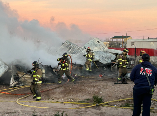 Ten cats die in mobile home fire near Salem