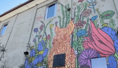 Sunday Funday: Mystic Desert Studio