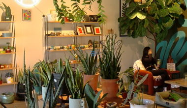 Sunday Funday: Viva La Plant Shop