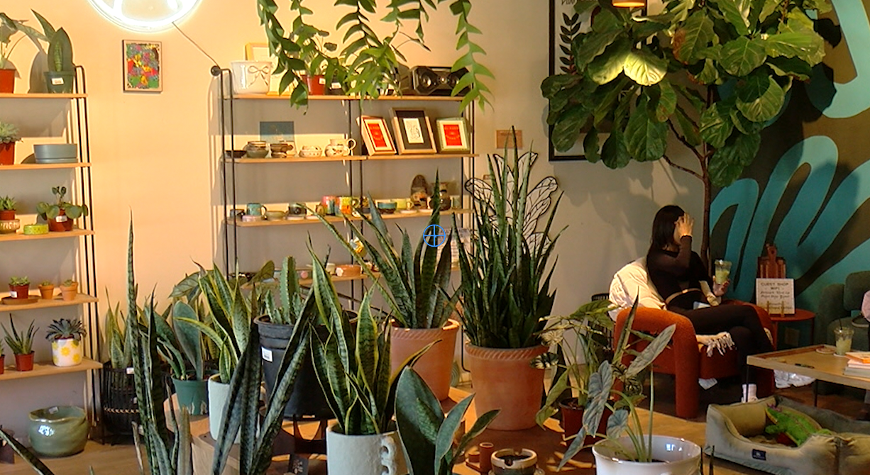 Sunday Funday: Viva La Plant Shop