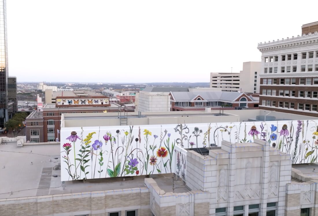 Youri Cansell’s butterfly mural spans the top of the Commerce Building behind Prosek’s wildflowers mural
