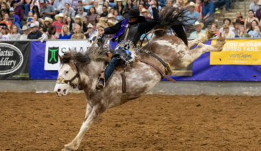 Tarleton State’s Rodeo Teams Open Spring Slate in Fort Worth