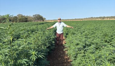 A Man, a Can, and a THC Tonic Brand • The Austin Chronicle