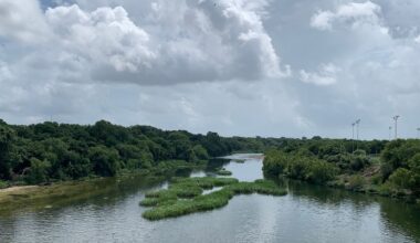 Barton Springs Creek in Austin, Texas. (Spectrum News/Mary Wasson)