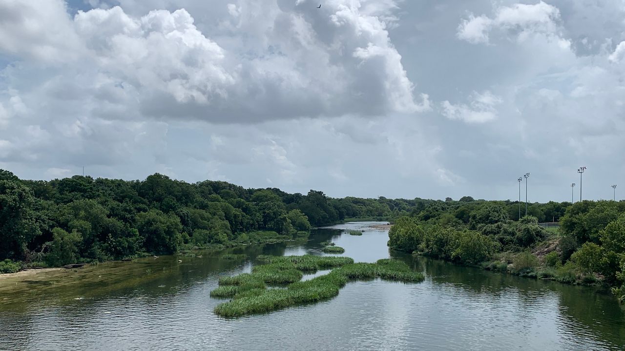 Barton Springs Creek in Austin, Texas. (Spectrum News/Mary Wasson)