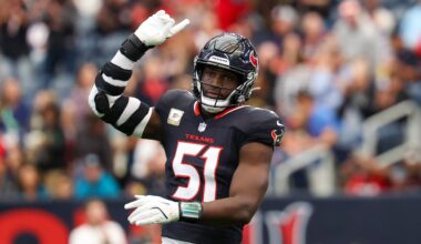 NFL Playoffs: Houston Texans 30, Pittsburgh Steelers 6