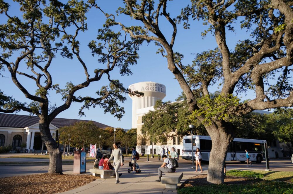 Texas A&M Campus Bus Stop
