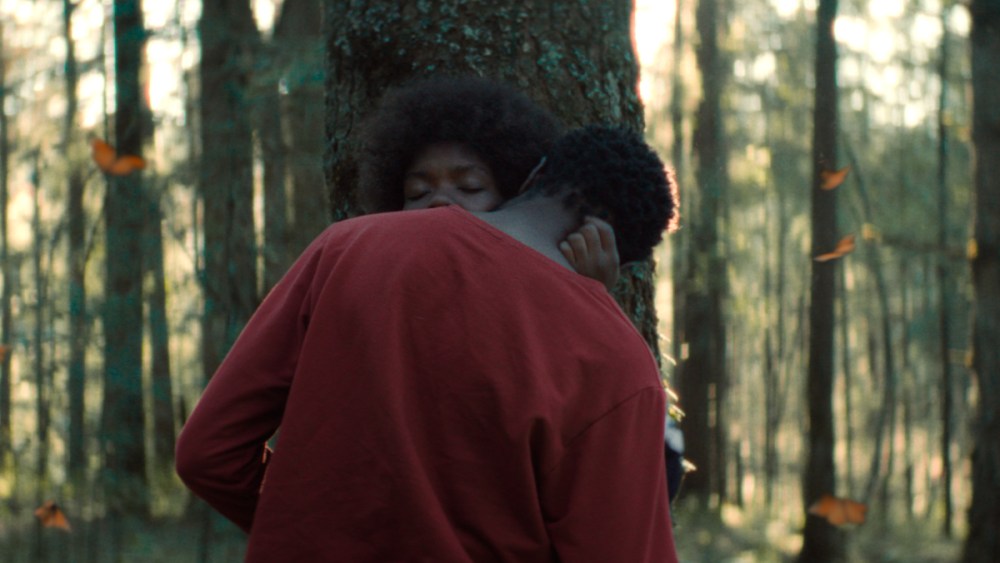 Joaquín del Paso's Berlin Title 'The Garden We Dreamed' to M-Appeal 