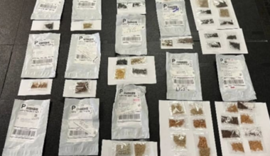 Texas residents warned about mystery seed packages arriving from China