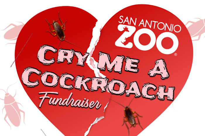 ‘Cry Me A Cockroach’ fundraiser returns to San Antonio Zoo for Valentine’s Day