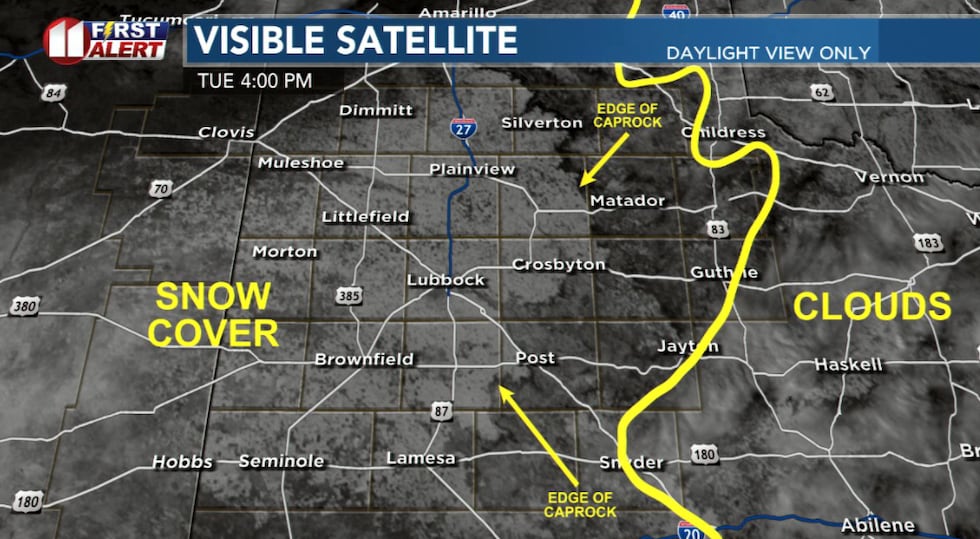 The darkest areas in the image is bare ground. The shades of grey left of the yellow line is...