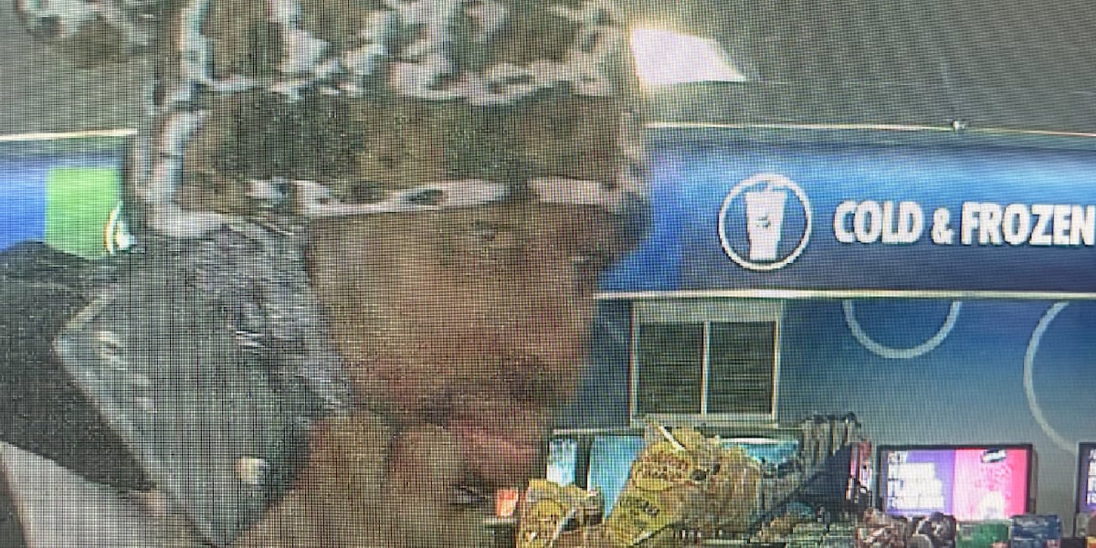 LPD searching for indecent assault suspect