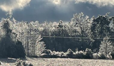 Dallas man killed in wreck on icy road in DeSoto Parish, Louisiana State Police reports