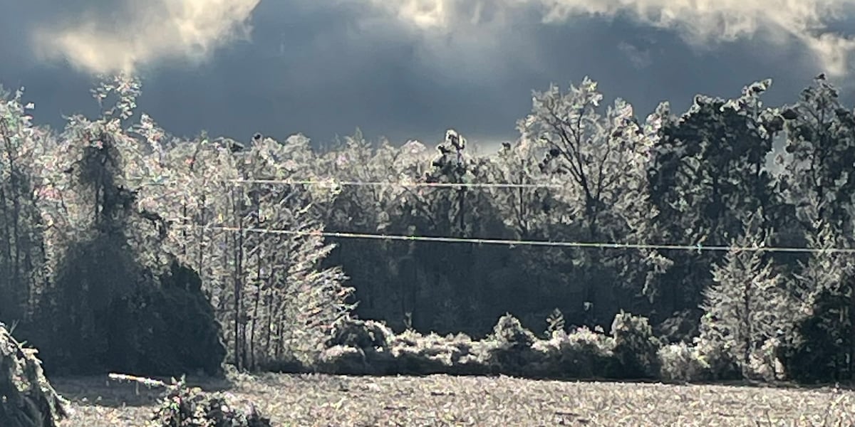 Dallas man killed in wreck on icy road in DeSoto Parish, Louisiana State Police reports