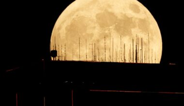 Will there be an eclipse in Texas in 2026? Here’s where to see eclipses this year