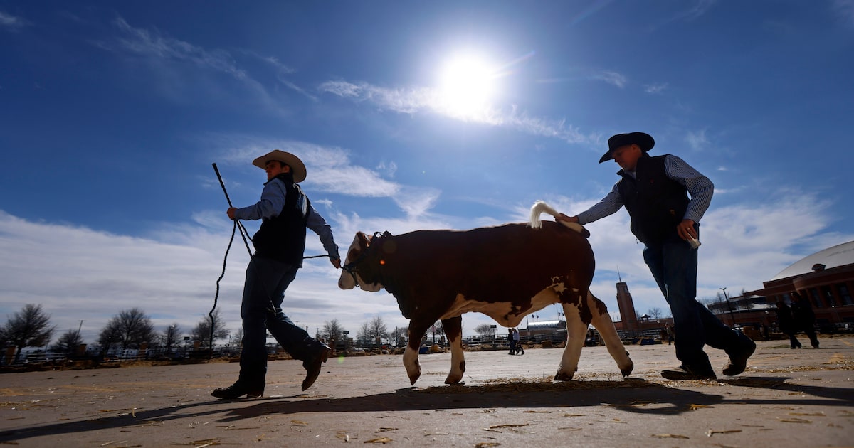 What to know about the 2026 Fort Worth Stock Show and Rodeo