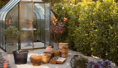 The beginner’s guide to greenhouses in North Texas