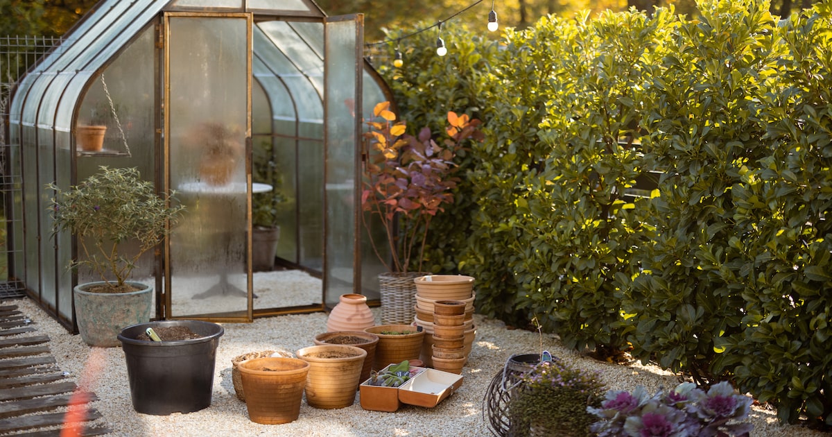 The beginner’s guide to greenhouses in North Texas