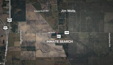 Multi-agency manhunt underway near Alice after two detainees escape transport