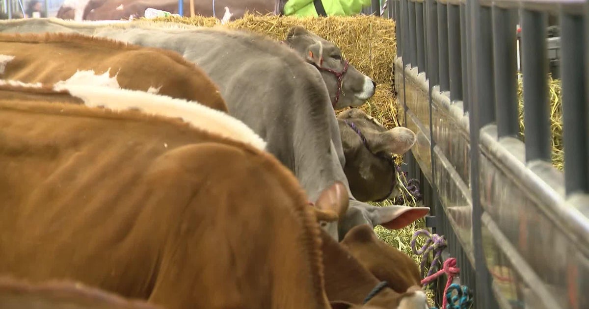 What to know about the 2026 Fort Worth Stock Show and Rodeo