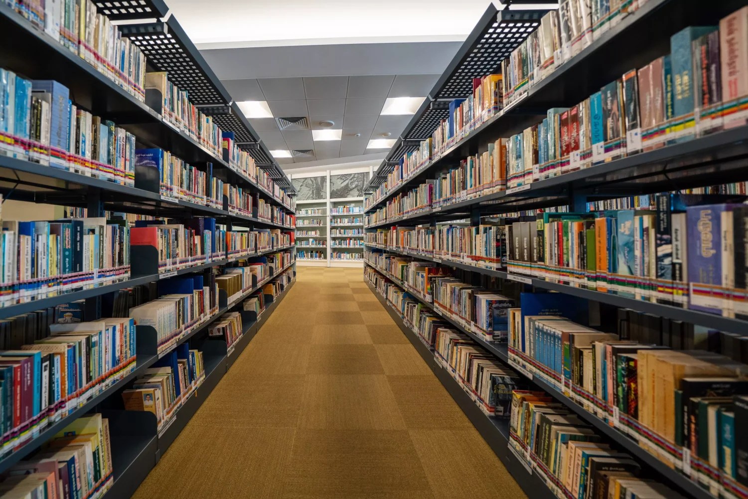 public library shelves