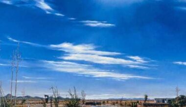 Amon Carter Museum of American Art presents "New Horizons: The Western Landscape"