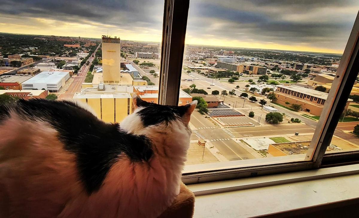 Finding Beauty In Lubbock's Simple Moments And Sunsets