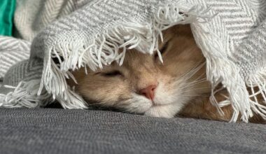 Preparing For Lubbock's Winter Chill: Safety Tips For Residents