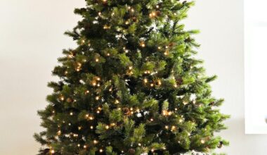 When Should You Take Down Your Christmas Tree In Lubbock?