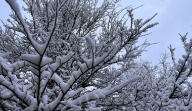 This Is The Most Texas Way To Check How Cold It Is Outside