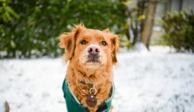 Snow And Freezing Temperatures This Weekend