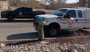 Shocking Deer Behavior In West El Paso