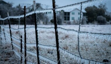 A Major Cool Down Is Headed for El Paso and Texas