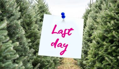 Need To Get Rid Of Your Christmas Tree? Do It For Free in El Paso