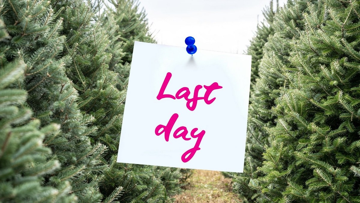 Need To Get Rid Of Your Christmas Tree? Do It For Free in El Paso