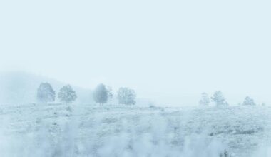 Unusual Sightings Of The Snow Thing During Lubbock's Storm